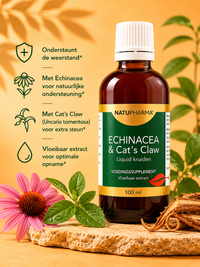 Echinacea & Cat's Claw sfeerfoto